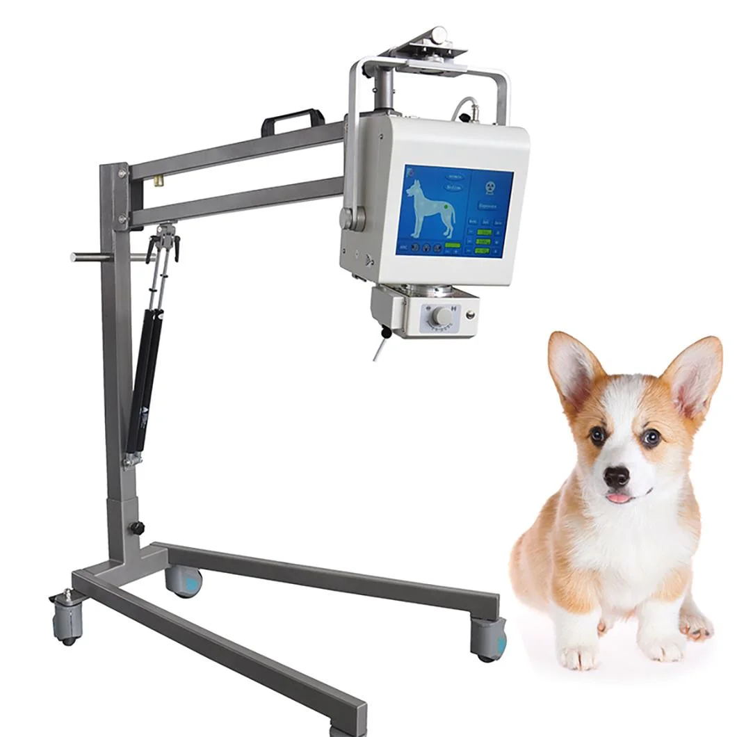 Hospital Veterinary X Ray Machine Equipment