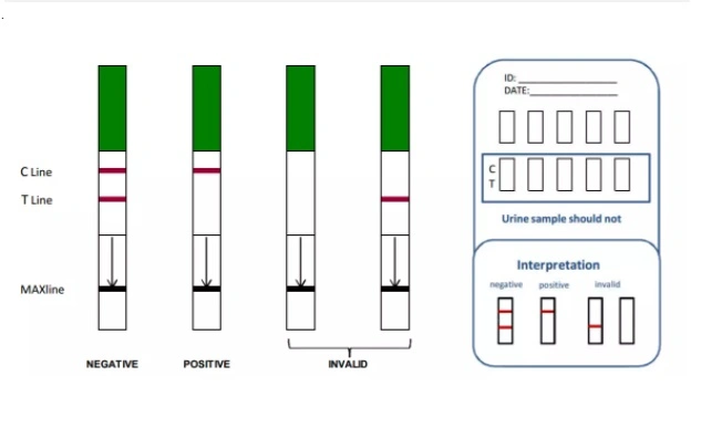 Benzodiazepine Poct Detection Instrument